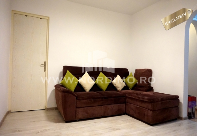 Vanzare apartament 2 camere, renovat, Dr. Taberei