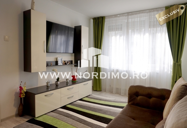 Apartament 3 camere, renovat LUX, Valea Argesului